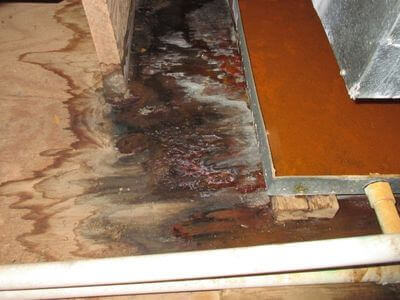 About water damage restoration service - commercial flood cleanup experts in Bremerton